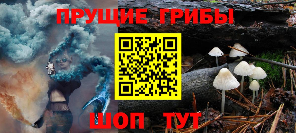 Татарск  Галлюциногенные грибы прущие грибы  Вход с VPN 