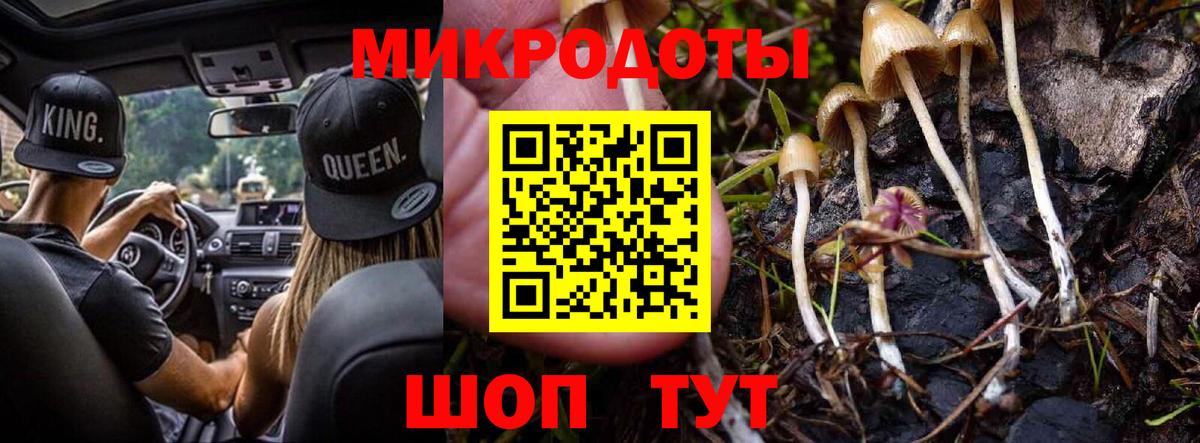Псилоцибиновые грибы MAGIC MUSHROOMS Татарск